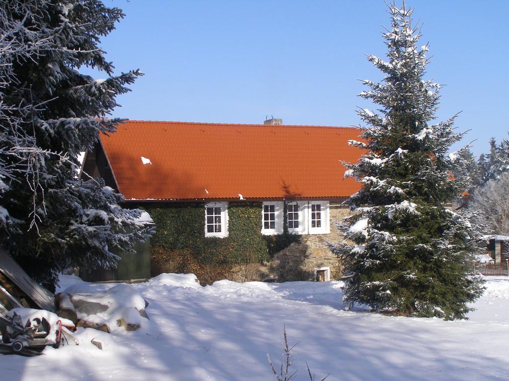 Apartman Dvorecna Loucovice Ruang foto