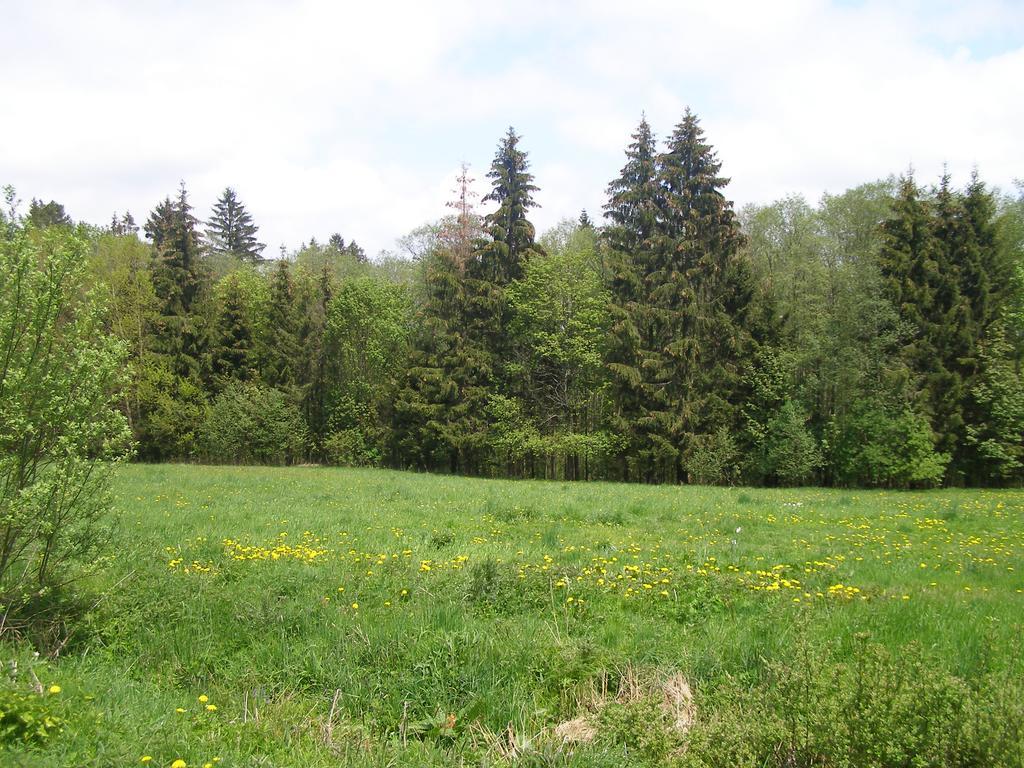 Apartman Dvorecna Loucovice Bagian luar foto