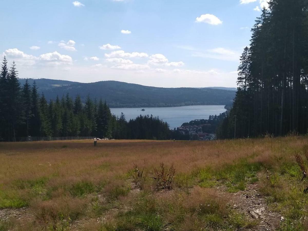 Apartman Dvorecna Loucovice Bagian luar foto