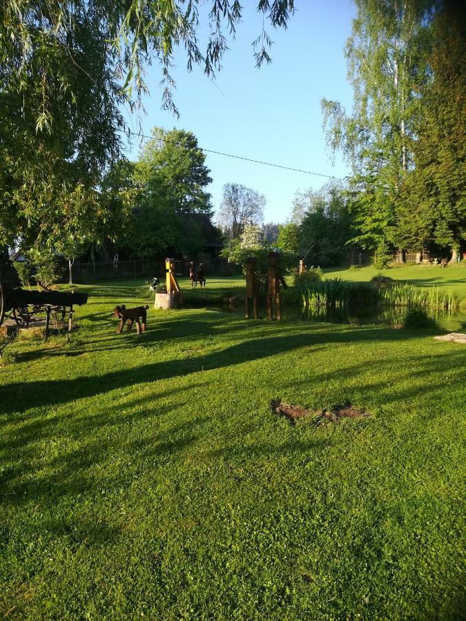 Apartman Dvorecna Loucovice Bagian luar foto